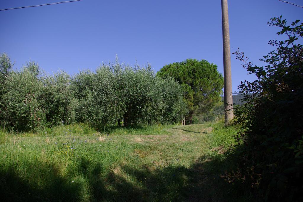 Villa Roccaccia Tuoro sul Trasimeno Exterior foto